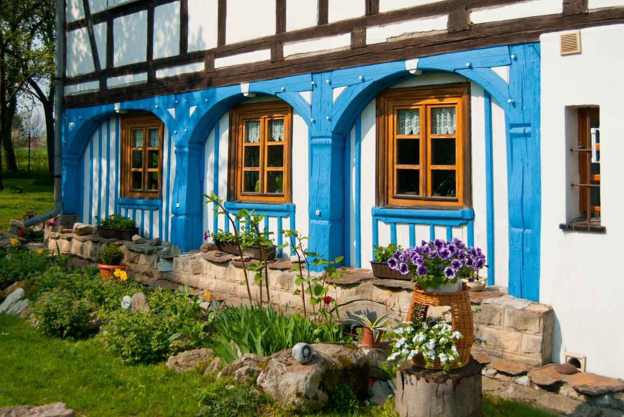 Dom Przyslupowy Educare -Agroturystyka Slow Food Сверадув-Здруй Экстерьер фото